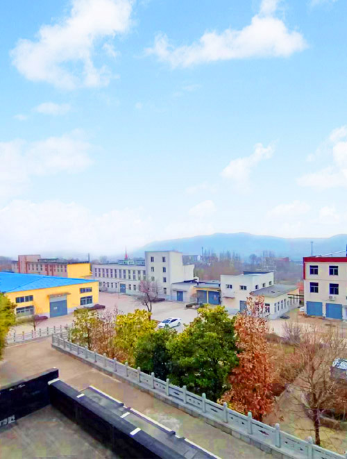 滕州市騰龍食品科技發展有限公司